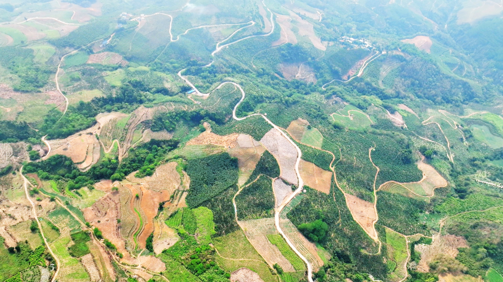 202504101133393339_ͼ