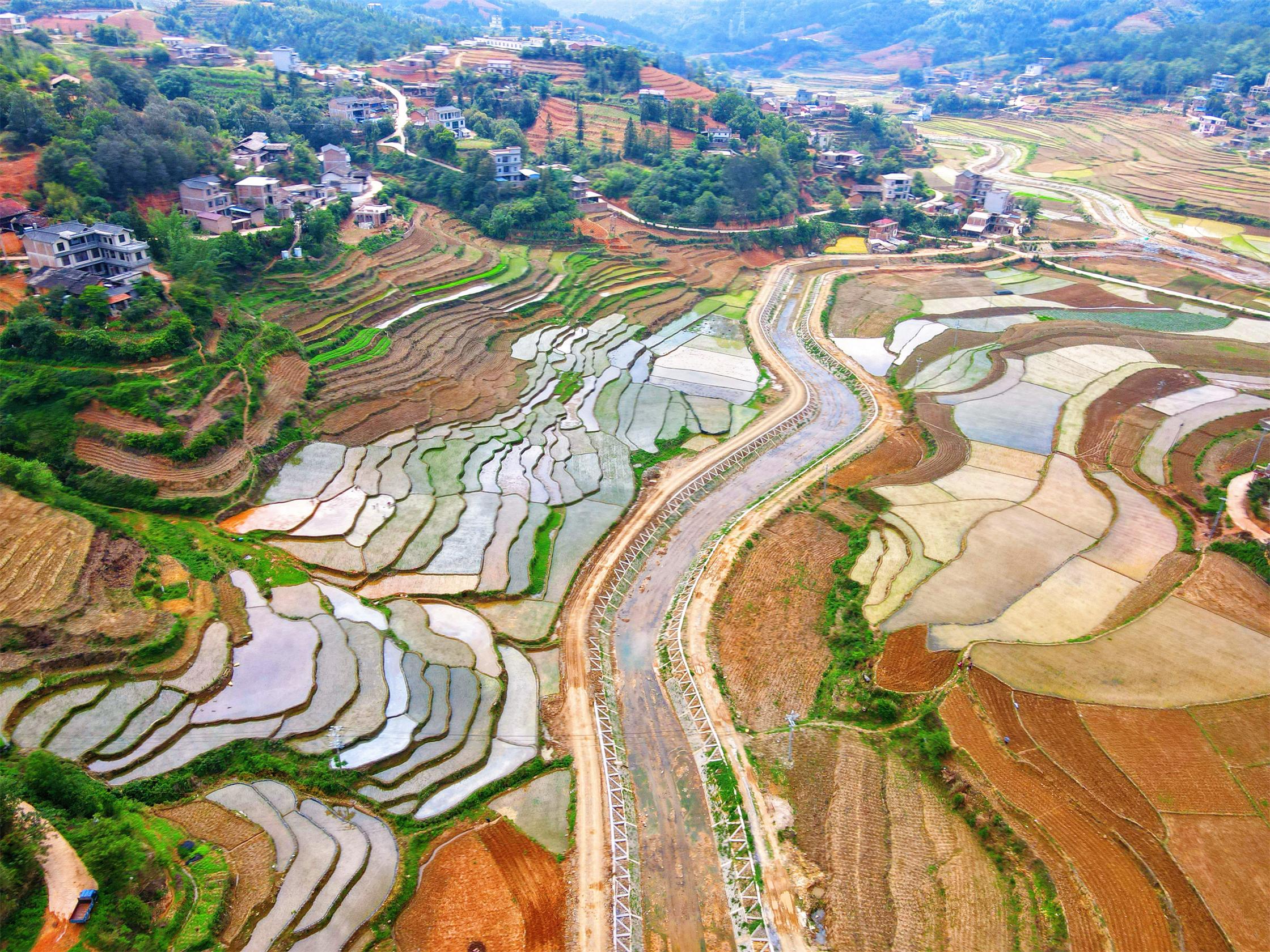 202504101142594259_ͼ_ͼ