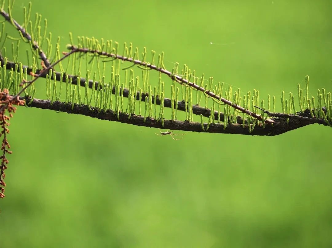 ΢ÐÅͼƬ_20250618170157