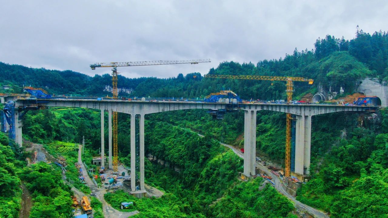 微信图片_20250801095418