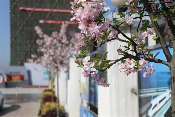 �ŵ�88(�й���)�ٷ���վ