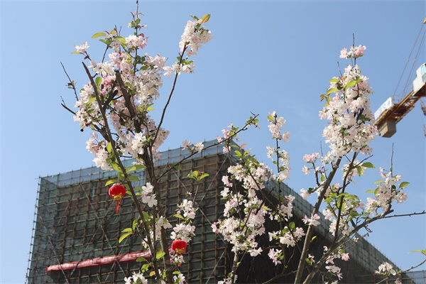 �ŵ�88(�й���)�ٷ���վ