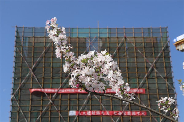 �ŵ�88(�й���)�ٷ���վ