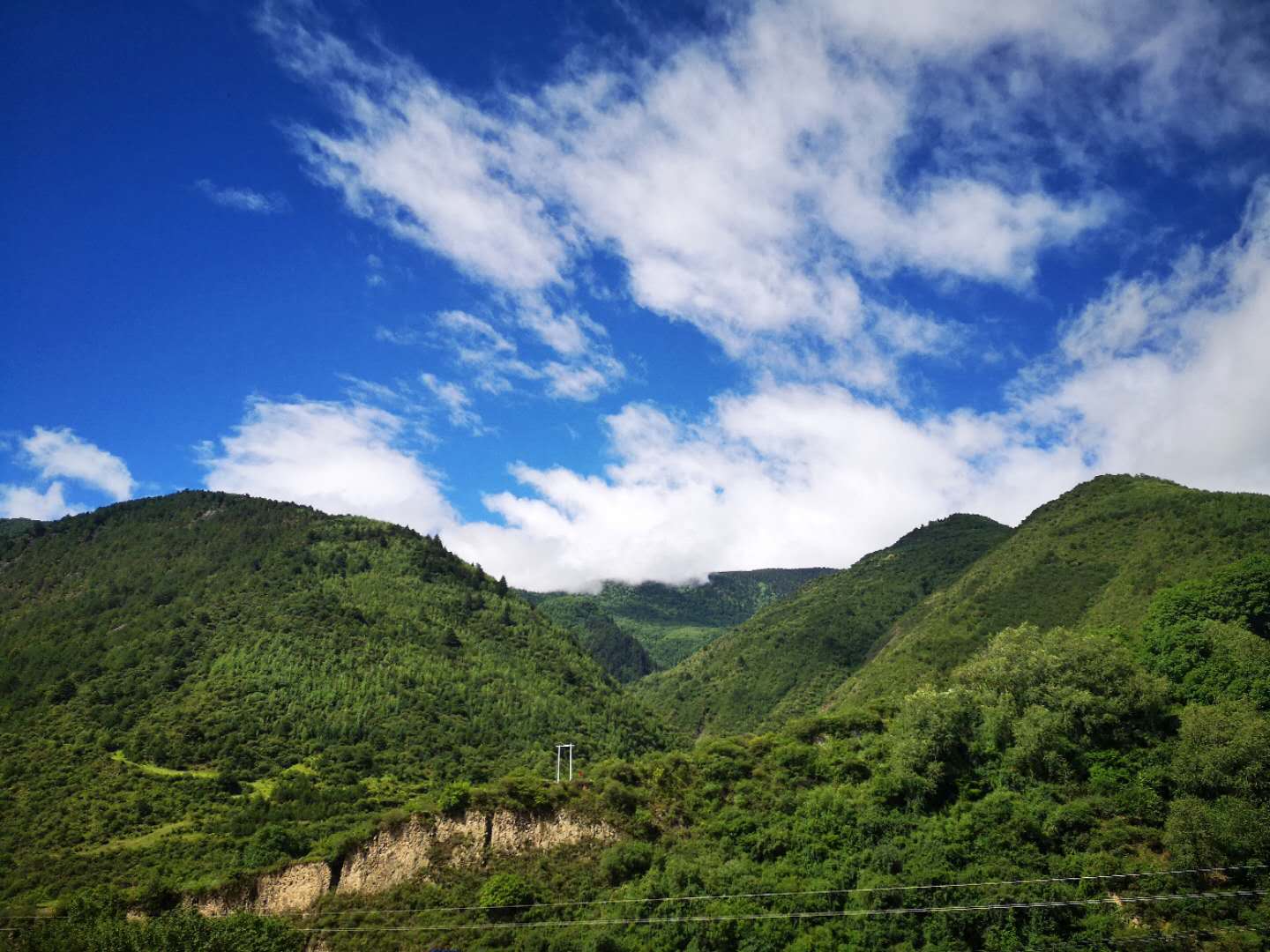 �ŵ�88(�й���)�ٷ���վ