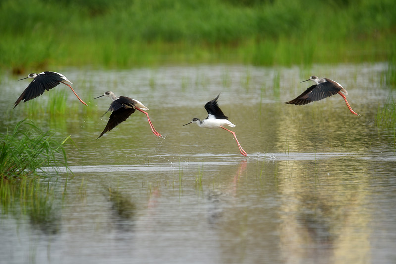 ÓŵÂ88(ÖйúÇø)¹Ù·½ÍøÕ¾