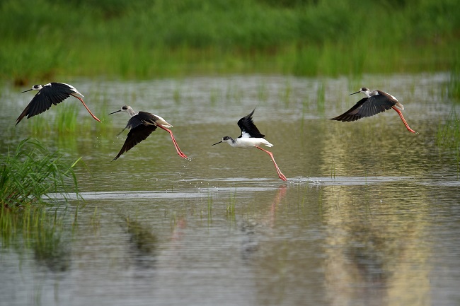 ÓŵÂ88(ÖйúÇø)¹Ù·½ÍøÕ¾