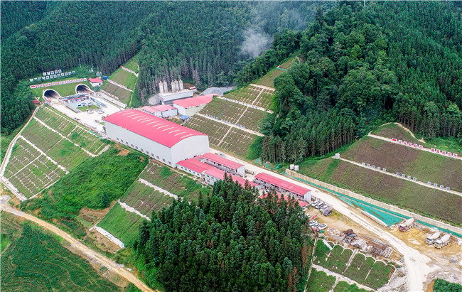 优德88(中国区)官方网站