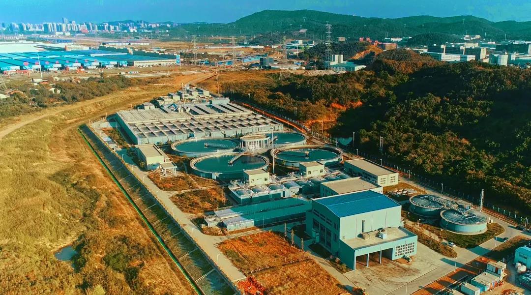 �ŵ�88(�й���)�ٷ���վ