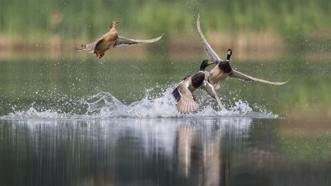 优德88(中国区)官方网站