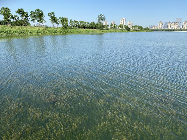 优德88(中国区)官方网站