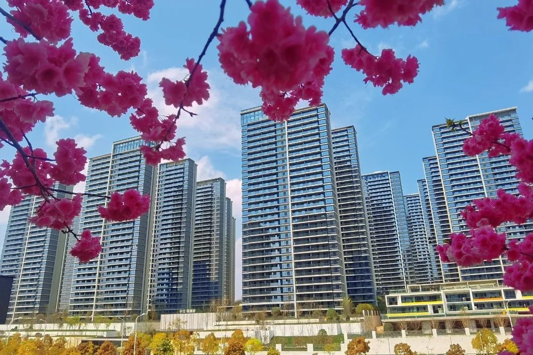 优德88(中国区)官方网站