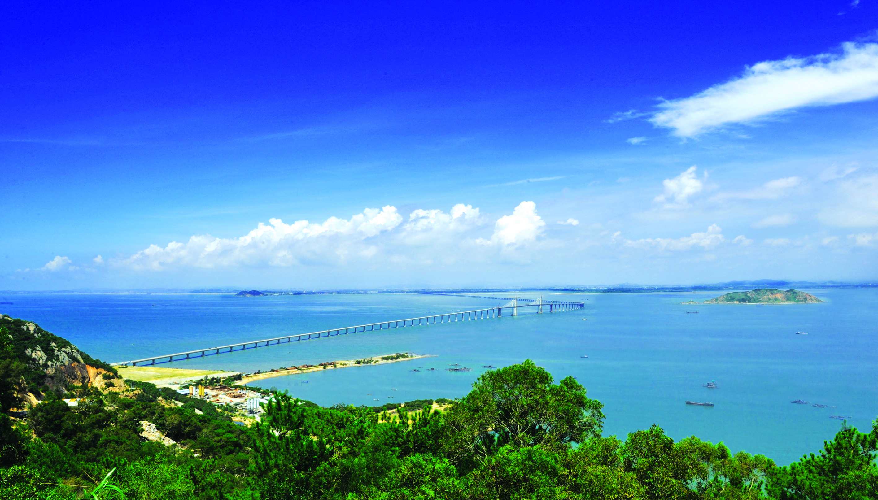 �ŵ�88(�й���)�ٷ���վ