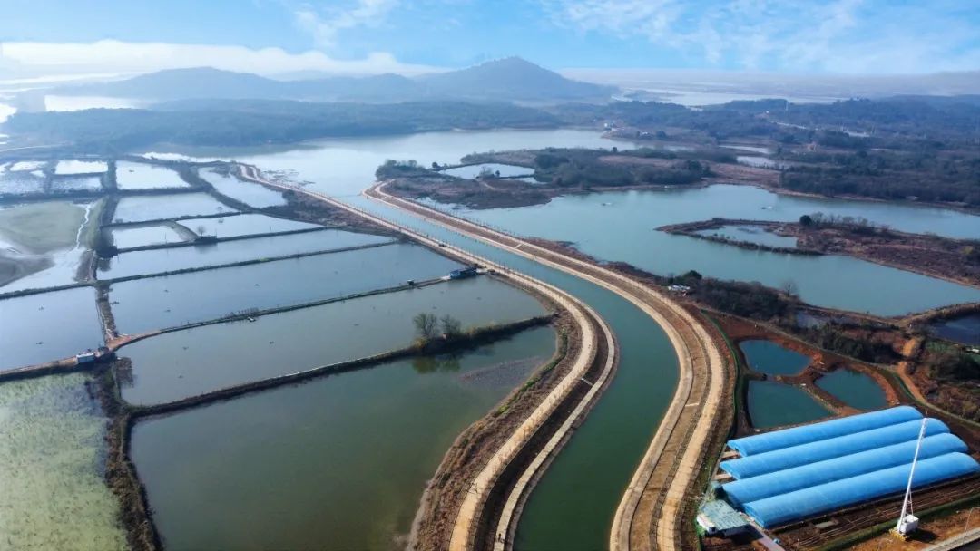 优德88(中国区)官方网站