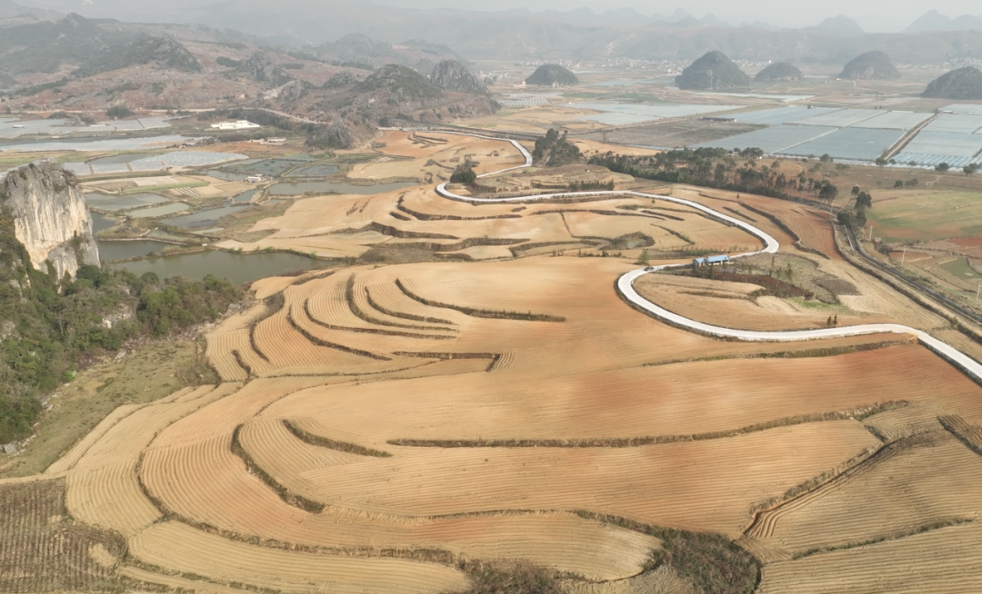 ÓŵÂ88(ÖйúÇø)¹Ù·½ÍøÕ¾