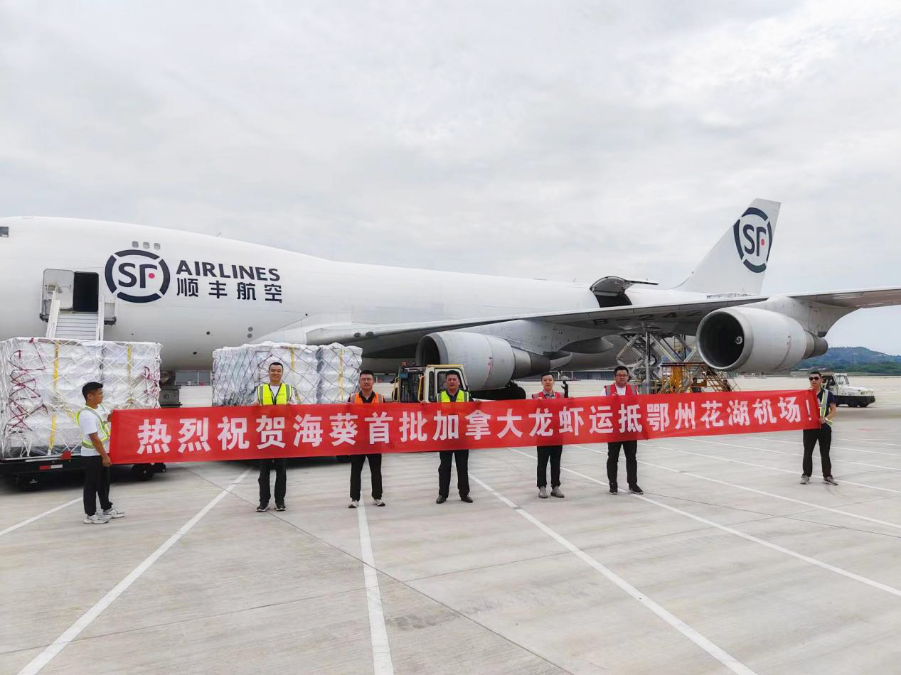 �ŵ�88(�й���)�ٷ���վ