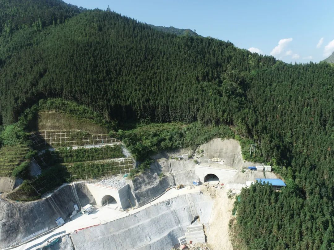 �ŵ�88(�й���)�ٷ���վ