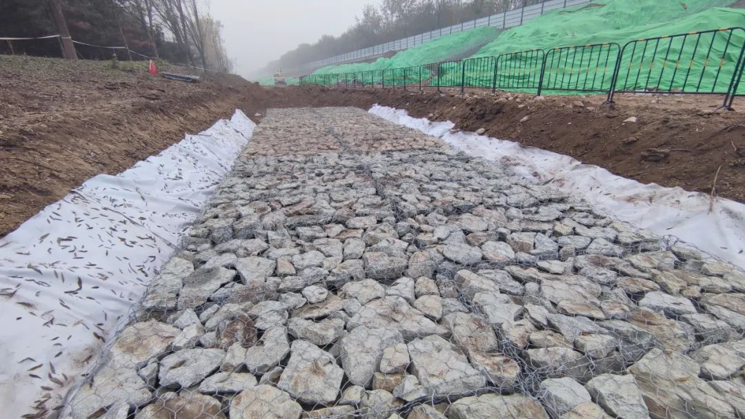 �ŵ�88(�й���)�ٷ���վ