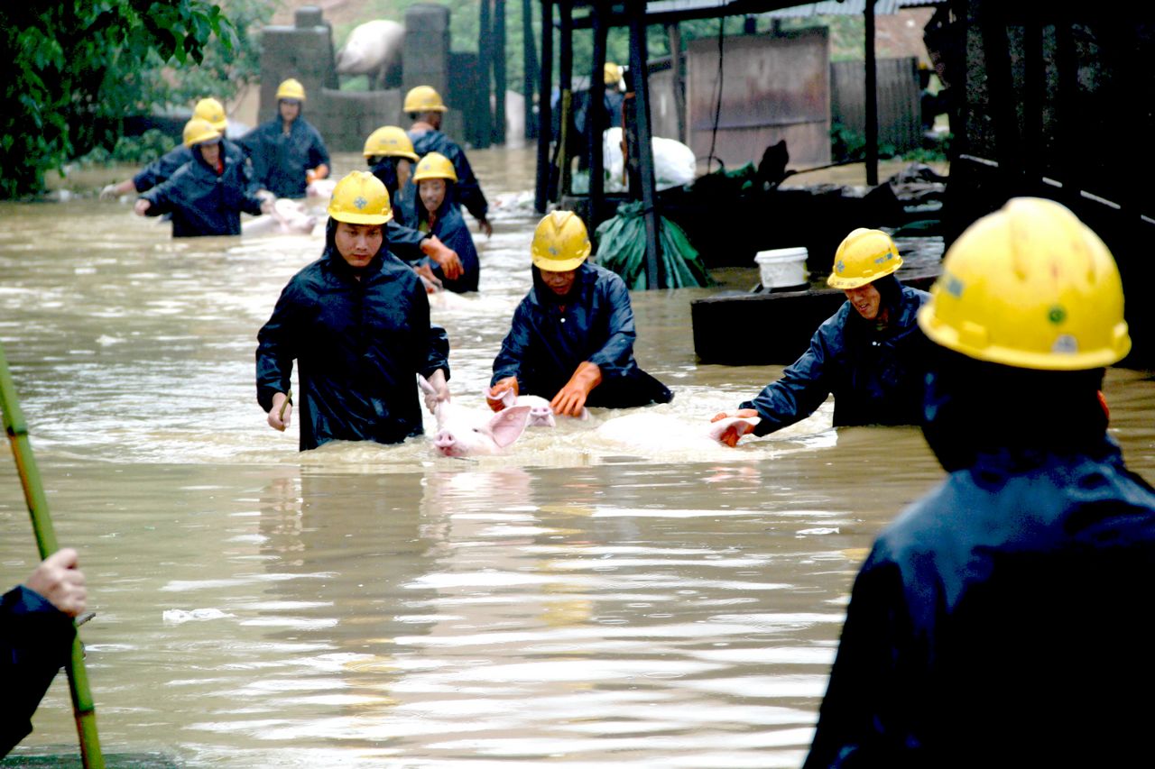 优德88(中国区)官方网站