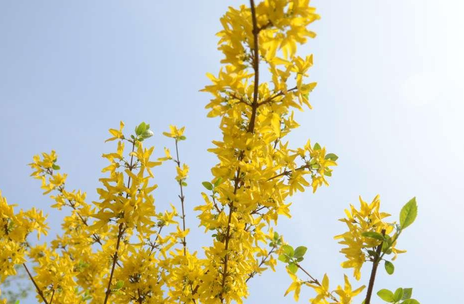 优德88(中国区)官方网站