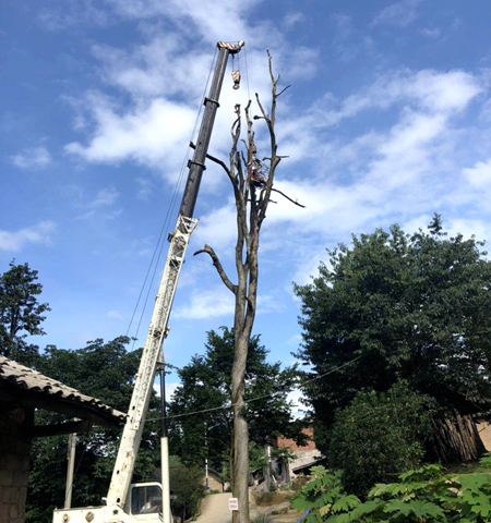 优德88(中国区)官方网站