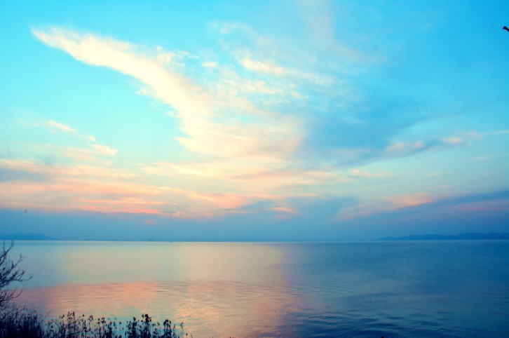 �ŵ�88(�й���)�ٷ���վ