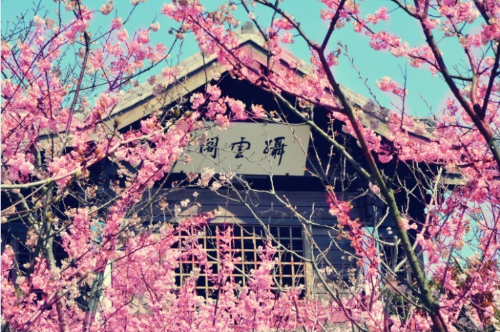 �ŵ�88(�й���)�ٷ���վ