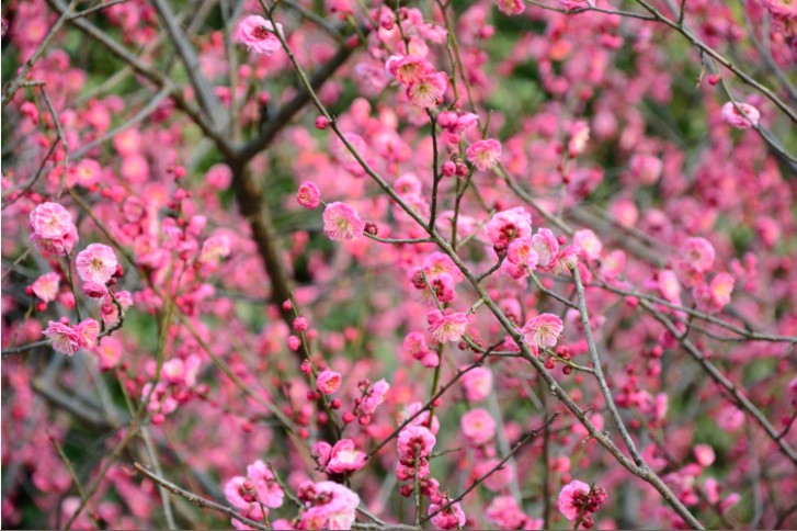 �ŵ�88(�й���)�ٷ���վ