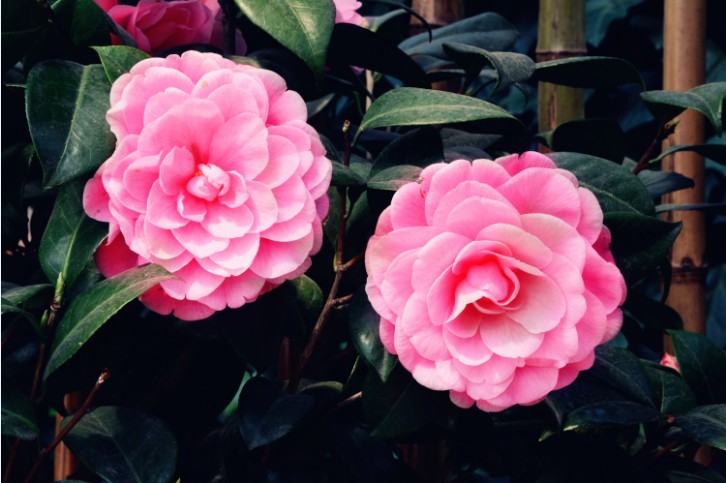 �ŵ�88(�й���)�ٷ���վ