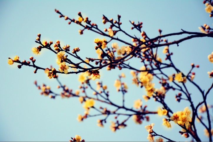 �ŵ�88(�й���)�ٷ���վ