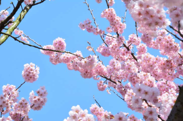 �ŵ�88(�й���)�ٷ���վ